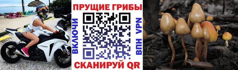 Галлюциногенные грибы MAGIC MUSHROOMS  Надым 